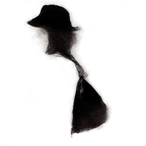 witches' hat,silhouette of man,ballroom dance silhouette,rorschach,witches hat,man silhouette,sillouette,witch's hat,homburg,akubra,mouse silhouette,black hat,the hat-female,witch's hat icon,woman silhouette,female silhouette,entamoeba,the hat of the woman,witches' hats,tricorn,Illustration,Black and White,Black and White 10