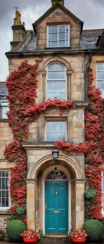 Bath UK architecture, Georgian style, symmetrical facade, stone walls, arched windows, ornate doorways, red roof tiles, chimneys, ivy climbing up walls, flower boxes under windows, cobblestone pavemen