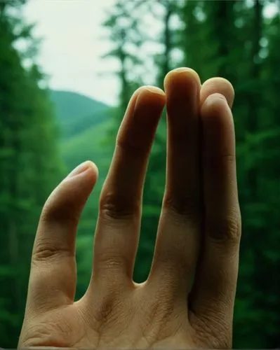 fingerlike,human hand,praying hands,align fingers,finger,kiarostami