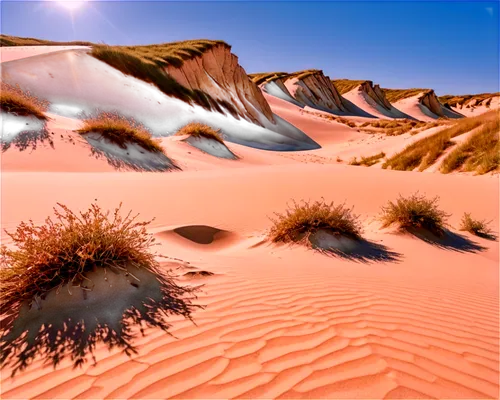 dune landscape,desert desert landscape,sand dunes,dunes,desert landscape,libyan desert,crescent dunes,shifting dunes,sand dune,shifting dune,capture desert,sandplains,desert background,arid landscape,the sand dunes,moving dunes,namib desert,san dunes,deserto,argentina desert,Illustration,Japanese style,Japanese Style 01