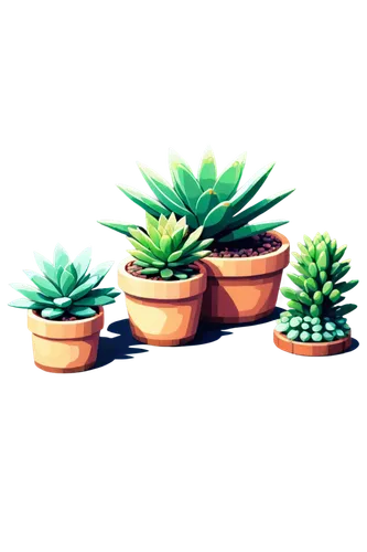 potted plants,desert plants,cactus digital background,small plants,succulent plant,little plants,cacti,plants in pots,desert plant,succulents,potted plant,plants,house plants,plant pots,tube plants,houseplant,potted palm,pot plant,outdoor plants,cactus,Unique,Pixel,Pixel 01