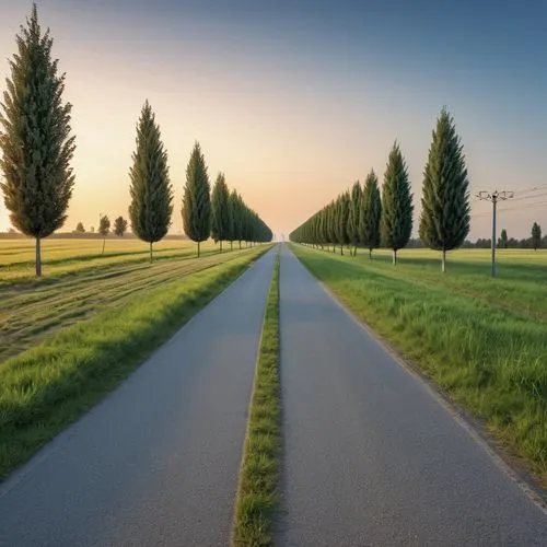 tree lined lane,tree lined path,tree-lined avenue,tree lined avenue,country road,aaaa,Photography,General,Realistic