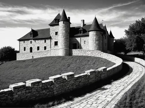 carcassone,chateauneuf,monbazillac castle,templar castle,castle of hunedoara,chateau,waldeck castle,dracula castle,chateaux,castel,medieval castle,carcassonne,old castle,bach knights castle,revište castle,dracula's birthplace,taufers castle,hluboka castle,apremont,gevrey,Illustration,Black and White,Black and White 33