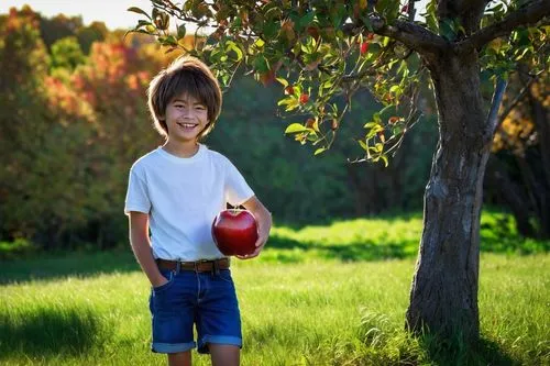 Ryuk, Shota, holding, big red apple, solo, (10yo), sweet smile, bright eyes, messy brown hair, casual white shirt, blue denim shorts, sneakers, standing, countryside, green grass, autumn trees, warm s