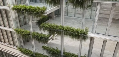 glass facade,hanging plants,glass facades,structural glass,bamboo plants,block balcony,glass panes,glass wall,glass building,sky ladder plant,hanging plant,lattice windows,climbing plant,balcony plant