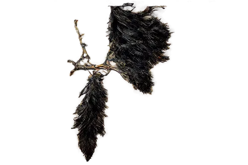 hawk feather,dawnstar,raven's feather,halberd,black feather,kalhora,soulsword,bird wing,loghmanian,feather,killraven,hindwings,chicken feather,seraph,arrhidaeus,dark angel,featherlike,glaive,feather pen,halberds,Conceptual Art,Daily,Daily 16