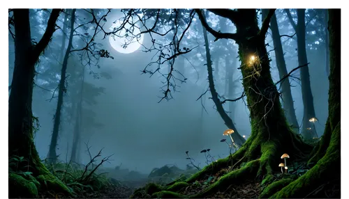 foggy forest,haunted forest,mirkwood,elven forest,enchanted forest,forest background,fairy forest,forest of dreams,forest dark,forest landscape,elfland,the forest,forest,foggy landscape,forest floor,forest glade,fangorn,woodcreepers,fairytale forest,halloween background,Illustration,Realistic Fantasy,Realistic Fantasy 14