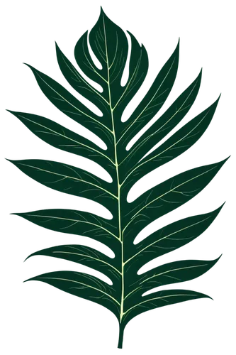 fern leaf,leaf fern,palm leaf,tropical leaf,frond,fig leaf,mape leaf,fern fronds,tropical leaf pattern,jungle leaf,laurel wreath,fern plant,custody leaf,walnut leaf,tree leaf,leaf drawing,coconut leaf,chestnut leaf,trumpet leaf,fern,Art,Artistic Painting,Artistic Painting 43