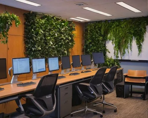 computer room,forest workplace,conference room,green plants,modern office,hostplants,intensely green hornbeam wallpaper,meeting room,hanging plants,hostplant,greentech,ecotech,the server room,working space,offices,study room,ideacentre,board room,plant tunnel,plants,Conceptual Art,Oil color,Oil Color 16