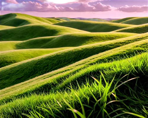 grasslands,dune landscape,gras,grassland,grasslike,dune grass,green landscape,green fields,green grass,ricefield,palouse,block of grass,shifting dunes,grass grasses,grass,landscape background,meadow fescue,rolling hills,windows wallpaper,ricefields,Photography,Fashion Photography,Fashion Photography 01