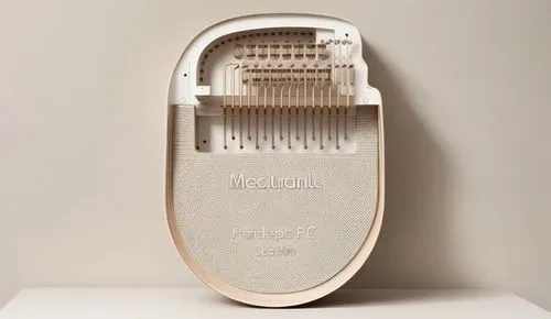 krakoff,dish brush,hair brush,hairbrush,hairbrushes,comb,venus comb,talalay,microprocessor,old calculating machine,combs,toothcomb,microcomputer,muji,autoharp,tube radio,kalimba,colluricincla harmonic