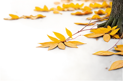 Autumn tree, orange yellow leaves, scattered on ground, some still clinging to branches, warm sunlight filtering through, gentle breeze rustling leaves, solo, morning dew, shallow depth of field, 3/4 