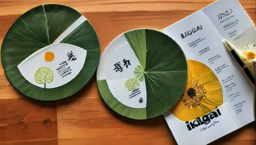 menus,leaflets,menu,macrobiotic,breakfast menu,yinzhen,Photography,General,Natural