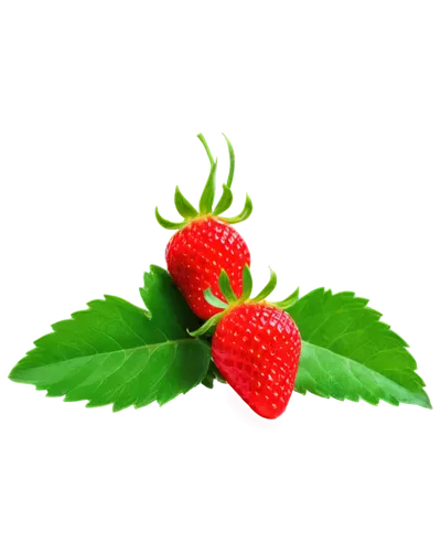 strawberry, clip-art, transparent background, red fruit, green leaves, shiny surface, soft light, 3/4 composition, close-up shot, detailed texture, vibrant color, glossy finish, isolated object.,straw