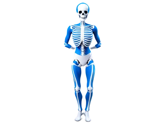 osteoporotic,skeletal,osteoporosis,osteopath,human skeleton,osteopathy,skeleton,skelemani,osteopathic,skeletal structure,osteopenia,osteopaths,calcium,orthopedics,osteopontin,osteomalacia,garrison,vintage skeleton,musculoskeletal,osteocalcin,Photography,Artistic Photography,Artistic Photography 14