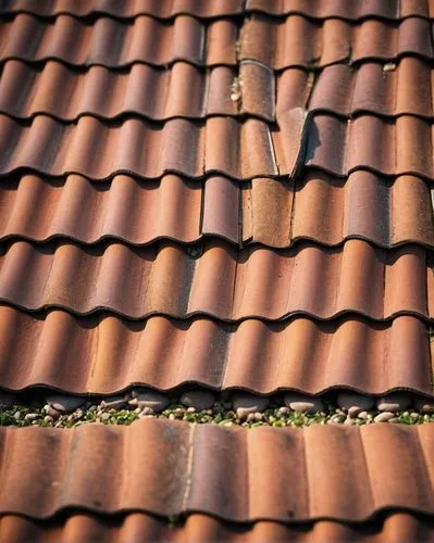 roof tiles,tiled roof,roof tile,house roofs,roof landscape,house roof,shingled,rooflines,roofline,the old roof,roofing,clay tile,roofs,roof plate,slate roof,terracotta tiles,red roof,roof panels,metal roof,roofing work,Photography,General,Cinematic