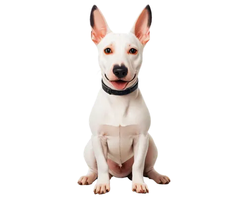 English Bull Terrier, cartoon style, white coat, orange patch on forehead, big eyes, smiling face, erect ears, muscular body, short legs, sitting pose, front view, 3/4 composition, soft focus, warm co