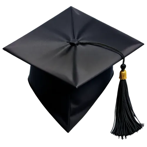 graduate hat,mortarboard,doctoral hat,graduation hats,academic dress,tassel,aerial view umbrella,graduation cap,overhead umbrella,cocktail umbrella,black streamers,graduate,asian umbrella,correspondence courses,conical hat,japanese umbrella,paper umbrella,adult education,student information systems,witches' hats,Illustration,American Style,American Style 14