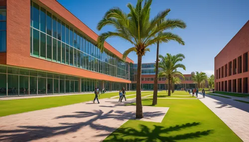 business school,heads of royal palms,biotechnology research institute,royal palms,agricultural engineering,campus,palm branches,date palms,palm pasture,palm forest,environmental engineering,student information systems,palm garden,community college,school design,palm field,palmtrees,research institution,two palms,stanford university,Conceptual Art,Daily,Daily 29