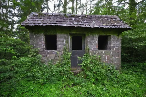 forest chapel,outhouse,the water shed,garden shed,abandoned building,abandoned place,syringe house,blockhouse,toll house,cooling house,pigeon house,shed,abandoned house,house in the forest,wayside chapel,cabin,abandoned places,small house,small cabin,abandoned,Art,Artistic Painting,Artistic Painting 41