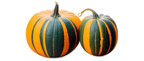 decorative squashes,decorative pumpkins,striped pumpkins,calabaza,ornamental gourds,gourds,calabashes,calabazas,cucurbita,gourd,cucurbits,winter squash,pumpkins,autumn pumpkins,mini pumpkins,neon pumpkin lantern,halloween pumpkins,funny pumpkins,squashes,pumkins,Illustration,Realistic Fantasy,Realistic Fantasy 25