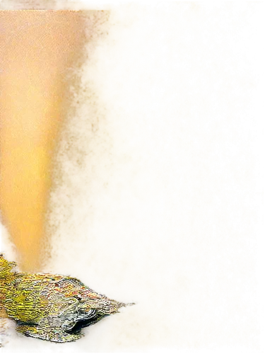 finch in liquid amber,runoff,bird in bath,watercolour texture,pond frog,water and stone,frog background,water surface,silt,water frog,acqua,sediment,thermal spring,tadpoles,tadpole,impressionistic,pond,geyser,sfumato,sedimentation,Illustration,Realistic Fantasy,Realistic Fantasy 01