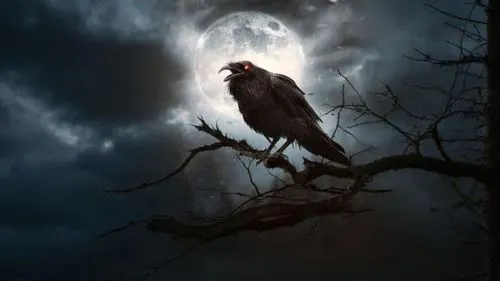 nocturnal bird,king of the ravens,night bird,dark angel,black crow,nightwatchman