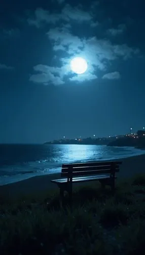 moonlit night,sea night,moonlight,moonlit,bench by the sea,lune,blue moon,moonglow,nocturne,dark beach,moonlighted,moon night,noctilucent,full moon,nightscape,moonlite,night photograph,moondance,romantic night,clear night