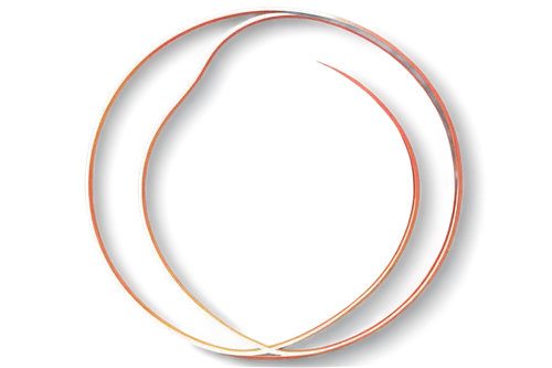 circular ring,oval,oval frame,circle shape frame,annular,golden ring,torus,saturnrings,fire ring,ellipsoid,standring,ring,semi circle arch,orb,round frame,extension ring,toroid,vesica,semicircles,penannular,Illustration,Retro,Retro 08