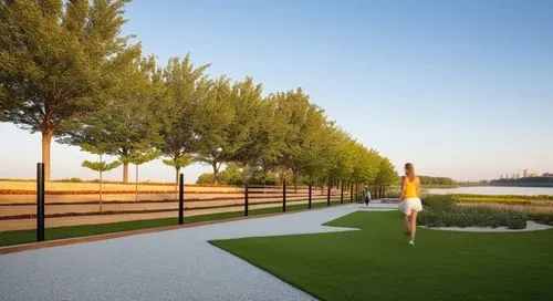 JOGGING TRACK FULL OF TABEBUYA
PATHWAY LANDSCAPE ARCHITECTURE FOR URBAN PARK,landscape design sydney,landscape designers sydney,artificial grass,corten steel,feng shui golf course,landscaped,golf lawn