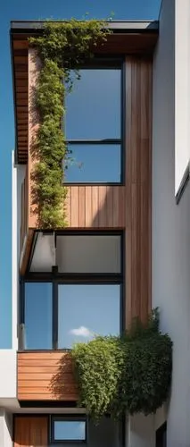 Singles residential building, modern minimalist style, white walls, large glass windows, wooden door, steel roof, greenery on rooftop, sunny day, blue sky with few clouds, 3/4 composition, slight low-