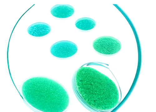 microspheres,green bubbles,spherules,microalgae,blue spheres,entamoeba,microcapsules,microparticles,liposomes,nanoparticles,nanoparticle,chlorella,biosamples icon,cellular,microvesicles,intercellular,vesicles,oospores,microsporum,oocyte,Conceptual Art,Fantasy,Fantasy 18