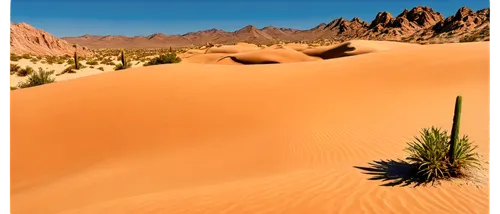 desert plant,desert desert landscape,desert plants,desert landscape,capture desert,argentina desert,desert background,libyan desert,arid landscape,desert flower,semidesert,arid,desert,deserto,flowerful desert,tamanrasset,desertification,deserticola,desert planet,the desert,Conceptual Art,Fantasy,Fantasy 30