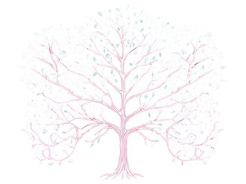 flourishing tree,cardstock tree,ornamental tree,snow tree,dendrite,celtic tree,dendritic,tree white,wondertree,arbre,branching,deciduous tree,tree,magic tree,seasonal tree,a tree,lanktree,arboreal,metasequoia,tree of life,Photography,Fashion Photography,Fashion Photography 24