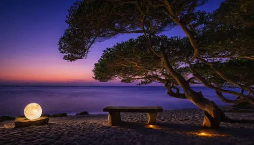 landscape lighting,istria,zakynthos,romantic night,peloponnese,sardinia,tea lights,tea-lights,bench by the sea,balearic islands,corfu,greece,tea light,greek island,dubrovnic,the balearics,candlelights,beach furniture,candle light,cyprus,Art,Classical Oil Painting,Classical Oil Painting 04