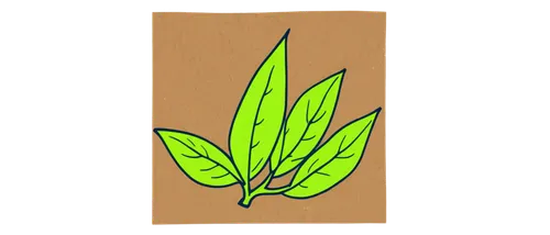 mape leaf,leaf drawing,palm leaf,tropical leaf,lotus leaf,jungle leaf,huana,coconut leaf,leaf background,green leaf,spring leaf background,custody leaf,trumpet leaf,fern leaf,walnut leaf,asparagaceae,tree leaf,resprout,bigleaf,oleaceae,Art,Artistic Painting,Artistic Painting 43