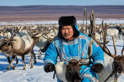 santa claus with reindeer,hulunbuir,mongolia eastern,inner mongolia,mongolian,nature of mongolia,inner mongolian beauty,reindeer polar,the mongolian-russian border mountains,mongolian tugrik,mongolia,the mongolian and russian border mountains,nomadic people,mongolia in the northwest portion,nature mongolia,sarplaninac,xinjiang,reindeer from santa claus,lapponian herder,utonagan,Illustration,Realistic Fantasy,Realistic Fantasy 43