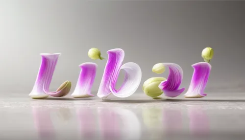 libra,lalab,scrabble letters,decorative letters,alphabet pasta,alphabet letter,airbnb logo,imbabura,alphabet letters,uv,bulb,alphabet word images,ursaab,zodiac sign libra,bokeh effect,dribbble logo,aquafaba,lumbricidae,nabib,jilbab,Realistic,Flower,Orchid