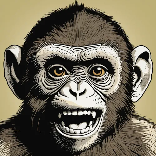 cercopithecus neglectus,chimpanzee,common chimpanzee,ape,primate,macaque,barbary monkey,barbary ape,great apes,chimp,gorilla,primates,gibbon 5,crab-eating macaque,rhesus macaque,the monkey,uakari,orang utan,reconstruction,monkey,Illustration,Vector,Vector 15