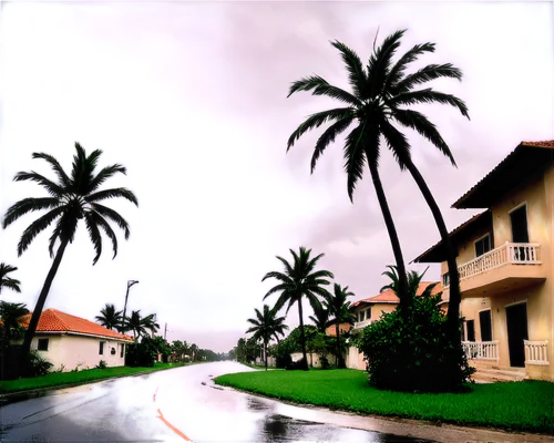 Hurricane, stormy weather, dark clouds, heavy rain, strong winds, palm trees bent, debris scattered, destroyed houses, flooded streets, dramatic lighting, low angle shot, wide-angle lens, cinematic co