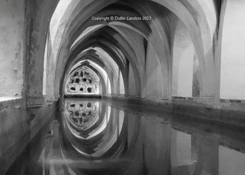 tunel,tunneling,underflow,sewer,tunnels,reflection in water