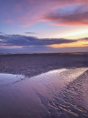 wadden sea,the wadden sea,crosby beach,ameland,maasvlakte,amrum,doñana national park,salt-flats,low tide,westerhever,great salt lake,salt flats,mudflat,salt pan,texel,north sea coast,norderney,salar flats,salt field,salar de uyuni,Illustration,Paper based,Paper Based 28