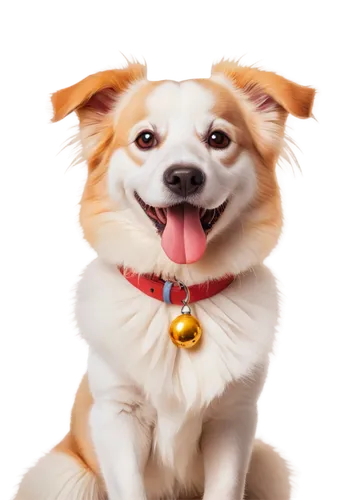 cheerful dog,garrison,corgi,ein,inu,dog illustration,pet portrait,dog angel,dog photography,defence,dogrib,corgis,dogana,dog,welschcorgi,telegram icon,pembroke welsh corgi,portrait background,the pembroke welsh corgi,dogecoin,Illustration,Realistic Fantasy,Realistic Fantasy 24