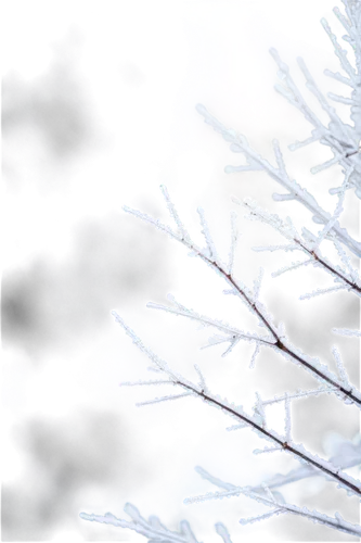 ice rain,snowflake background,ice crystal,frostiness,hoarfrost,winter background,ice crystals,frozen ice,frostings,ice landscape,frost,dendritic,winterization,deepfreeze,thawed,christmas snowy background,unfrozen,frosts,ice,unfreezing,Art,Artistic Painting,Artistic Painting 07