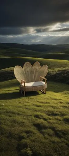 chair in field,chaise longue,chaise,danish furniture,chaise lounge,butterfly isolated,sleeper chair,soft furniture,armchair,isolated butterfly,wooden bench,outdoor bench,rocking chair,wood bench,the g