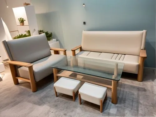 the couch, coffee table, ottoman and end tables are on display,seating furniture,natuzzi,cassina,maletti,therapy room,seating area