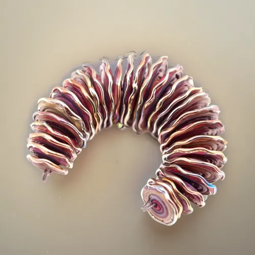 anago,mitochondrion,millipedes,marine gastropods,isopod,rib cage,spiny sea shell,trilobite,cnidarian,euphyllia paraancora,chambered nautilus,kinosternidae,noorderleech,coil,gastropods,cnidaria,centipe