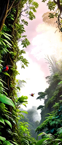 psygnosis,cartoon video game background,bird kingdom,tropical forest,bird bird kingdom,nature background,rainforests,sunbirds,rainforest,tropicbirds,xenogears,yavin,quetzal,tropical birds,quetzals,forest background,fairy forest,arrietty,rain forest,elven forest,Illustration,Retro,Retro 08