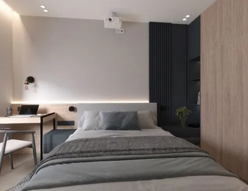 modern room,guestroom,modern decor,guest room,room divider,shared apartment,contemporary decor,sleeping room,bedroom,sky apartment,an apartment,smart home,interior modern design,futon pad,apartment,bed frame,interior design,one room,boutique hotel,loft