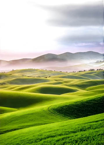 palouse,landscape background,golf landscape,toscane,windows wallpaper,golf course background,rolling hills,green landscape,toscana,tuscany,green fields,landscape photography,grasslands,castelluccio,panoramic landscape,virtual landscape,grassland,beautiful landscape,home landscape,colline,Conceptual Art,Daily,Daily 03